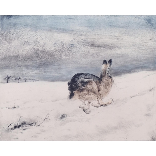 513 - 2 original coloured etchings of hares, indistinctly signed in pencil, largest 42cm x 34cm, framed