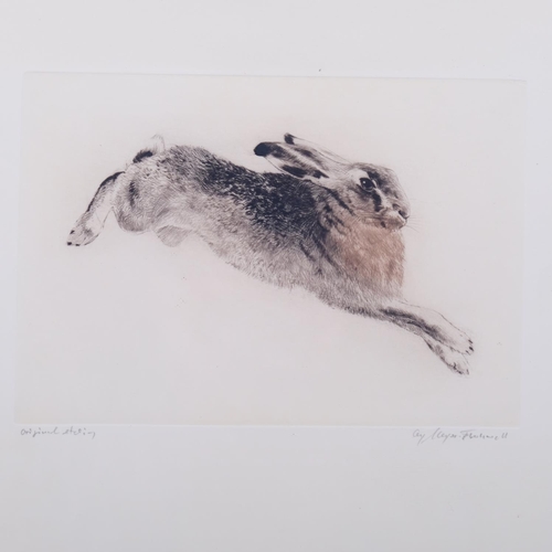 513 - 2 original coloured etchings of hares, indistinctly signed in pencil, largest 42cm x 34cm, framed