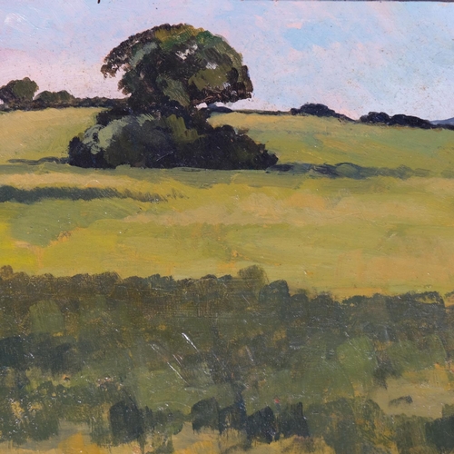 519 - Robert Tavener (1920 - 2004), Sussex downland scene, oil on board, signed, 30.5cm x 25.5cm, unframed