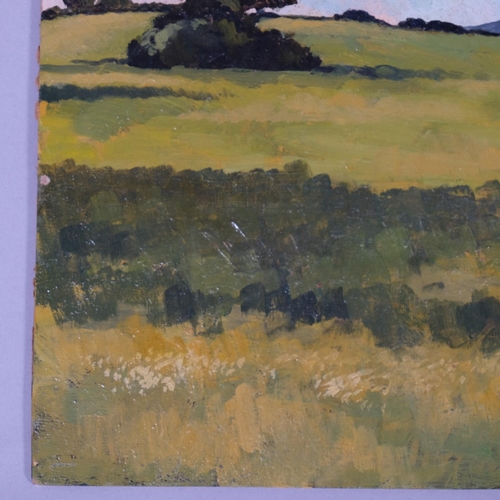 519 - Robert Tavener (1920 - 2004), Sussex downland scene, oil on board, signed, 30.5cm x 25.5cm, unframed