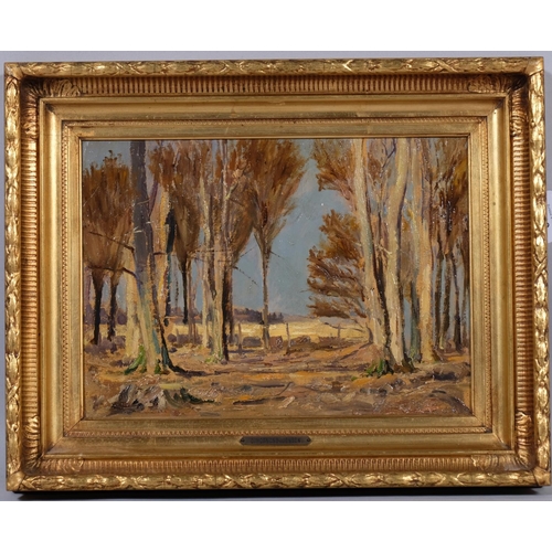 569 - Carl Hornung-Jensen (Danish, 1882 - 1960), autumnal forest scene, oil on board, unsigned, label vers... 