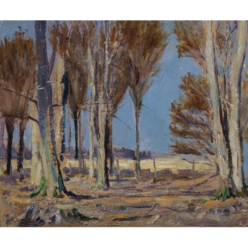 569 - Carl Hornung-Jensen (Danish, 1882 - 1960), autumnal forest scene, oil on board, unsigned, label vers... 