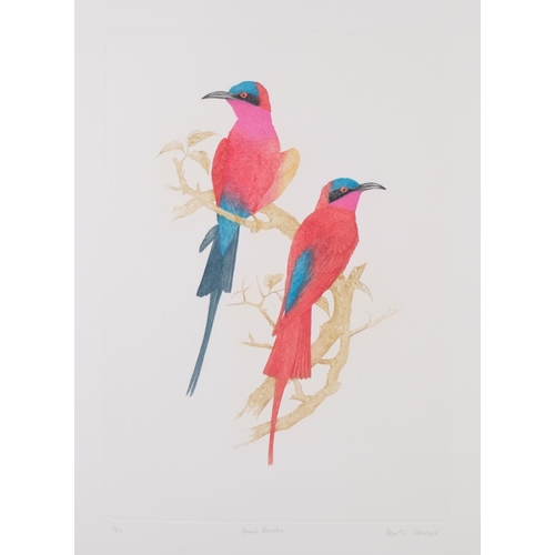 584 - Martin Woodcock, 2 hand coloured bird etchings, pencil signed limited editions, 59cm x 40cm, unframe... 