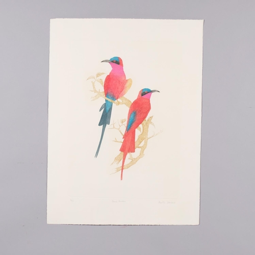 584 - Martin Woodcock, 2 hand coloured bird etchings, pencil signed limited editions, 59cm x 40cm, unframe... 