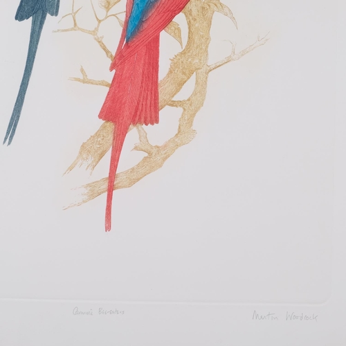 584 - Martin Woodcock, 2 hand coloured bird etchings, pencil signed limited editions, 59cm x 40cm, unframe... 