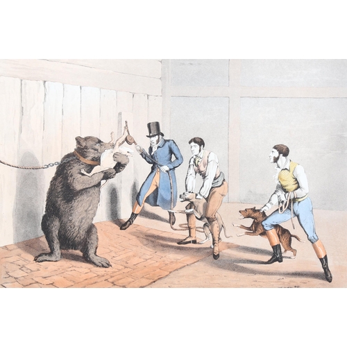 736 - Henry Alken, bear baiting, colour engraving, 1820, and F Fairholt, city trained bands, coloured engr... 