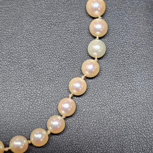 1226 - A single-strand pearl bead necklace, set with 8.1-3.3mm pearls, with 9ct gold synthetic? sapphire an... 