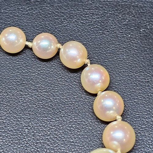 1226 - A single-strand pearl bead necklace, set with 8.1-3.3mm pearls, with 9ct gold synthetic? sapphire an... 