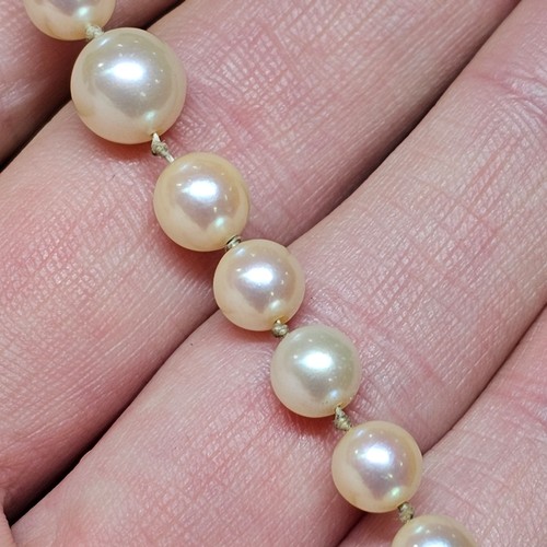 1226 - A single-strand pearl bead necklace, set with 8.1-3.3mm pearls, with 9ct gold synthetic? sapphire an... 