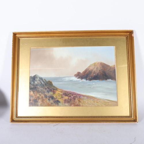 337 - Watercolour on paper, rocky coastal view, 56cm x 76cm overall, gilt-framed