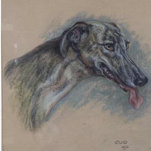 402 - Marjorie Cox, portrait of a Greyhound, 1972, charcoal/pastel on paper, 45cm x 44cm, framed