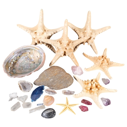 677 - A box with starfish, seashells, and mineral specimens