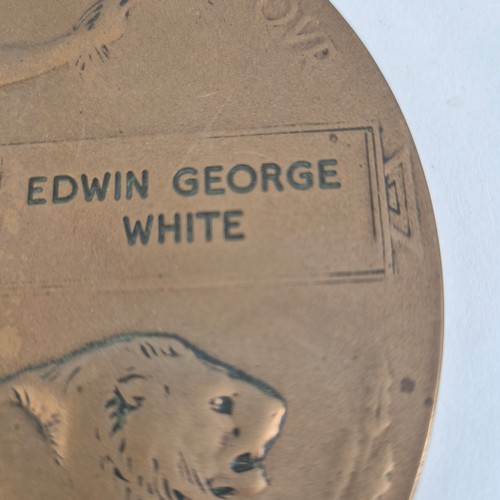 447 - A First World War Death Plaque for Pte Edwin George White, Wiltshire Regiment, with memorial slip an... 