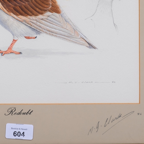 518 - M J Clark, study of a pigeon, watercolour/pencil, signed and dated 1986, 30cm x 33cm, framed