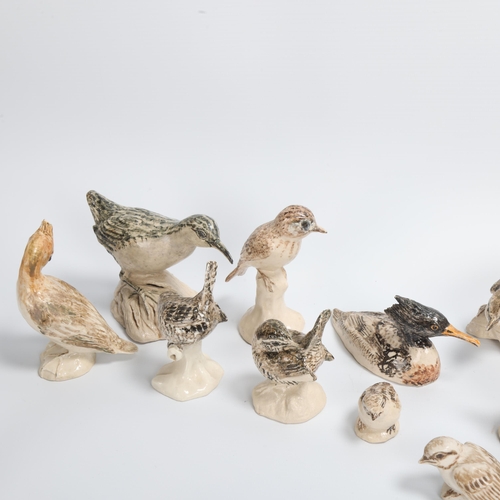 5 - CICELY LUSHINGTON, a collection of 16 studio ceramic bird studies, all named to base with maker's ma... 