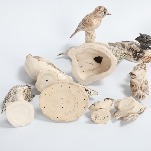 5 - CICELY LUSHINGTON, a collection of 16 studio ceramic bird studies, all named to base with maker's ma... 