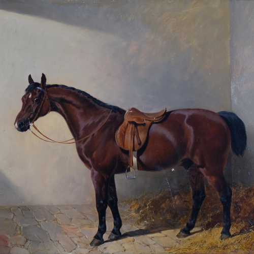 307 - John Frederick Herring Snr (1795 - 1865), portrait of a saddled horse in the stable, Bobby, 1846, oi... 