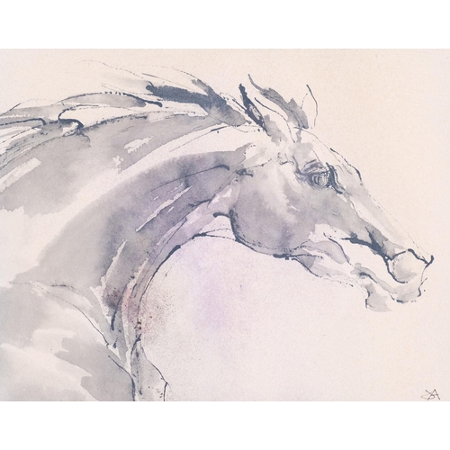 360 - Horse study, 20th century ink and wash, signed with indistinct monogram, 21cm x 27cm, framed