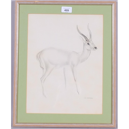 409 - John Rattenbury Skeaping (1901-1980), lithograph on paper, Antelope, signed in the plate, 35.5cm x 2... 