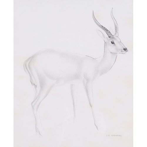 409 - John Rattenbury Skeaping (1901-1980), lithograph on paper, Antelope, signed in the plate, 35.5cm x 2... 