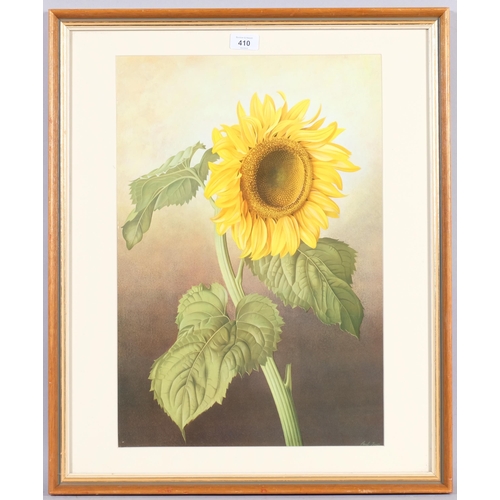 410 - Paul Osborne Jones (1921-1997), lithograph in colours on paper, Helianthus Annuus (Common Sunflower)... 