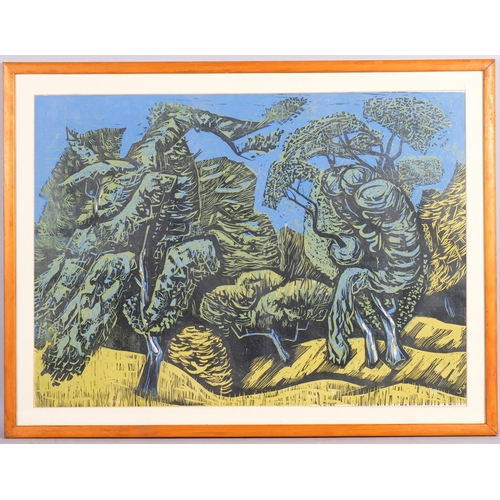 478 - Peter Strausfeld (1910 - 1980), Ash copse Sedlescombe, linocut, 1953, 53cm x 73cm, framed