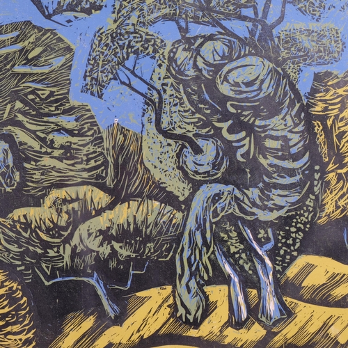 478 - Peter Strausfeld (1910 - 1980), Ash copse Sedlescombe, linocut, 1953, 53cm x 73cm, framed