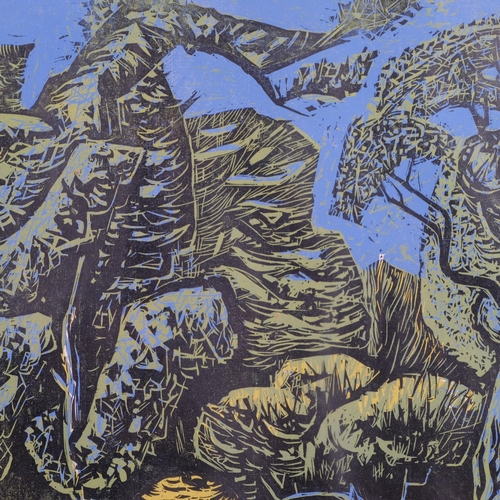 478 - Peter Strausfeld (1910 - 1980), Ash copse Sedlescombe, linocut, 1953, 53cm x 73cm, framed