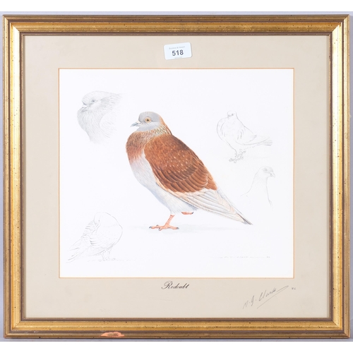 518 - M J Clark, study of a pigeon, watercolour/pencil, signed and dated 1986, 30cm x 33cm, framed