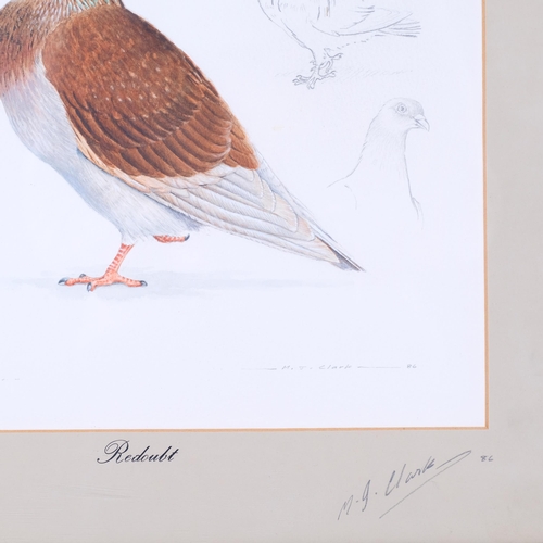 518 - M J Clark, study of a pigeon, watercolour/pencil, signed and dated 1986, 30cm x 33cm, framed