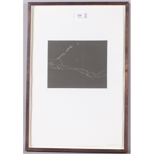 538 - Michelle Avison, Puddle I, unique monoprint, signed in pencil, plate 19cm x 24cm, framed