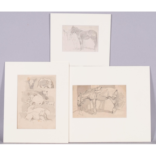 556 - 3 x 19th century pencil and wash studies of farm animals, 1 signed with monogram AJM, mounted (3)