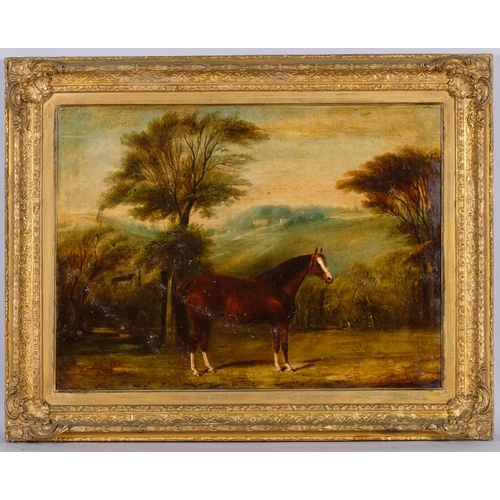 557 - Portrait of a Bay horse in landscape, 19th century oil on canvas, unsigned, 50cm x 70cm, framed