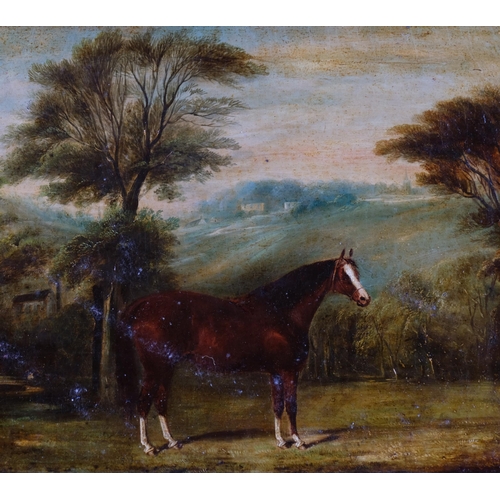 557 - Portrait of a Bay horse in landscape, 19th century oil on canvas, unsigned, 50cm x 70cm, framed