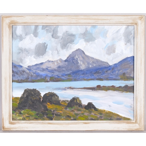 561 - Contemporary Irish landscape Donegal, oil on board, unsigned, 28cm x 36cm, framed