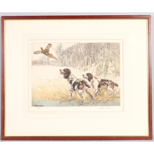 575 - Henry Wilkinson, Gundogs, 3 etchings, all signed in pencil, plate 24cm x 34cm, framed