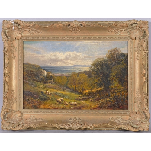 583 - Alfred Glendenning (circa 1840 - 1910), on the south coast Isle of Wight, oil on board, 19cm x 30cm,... 