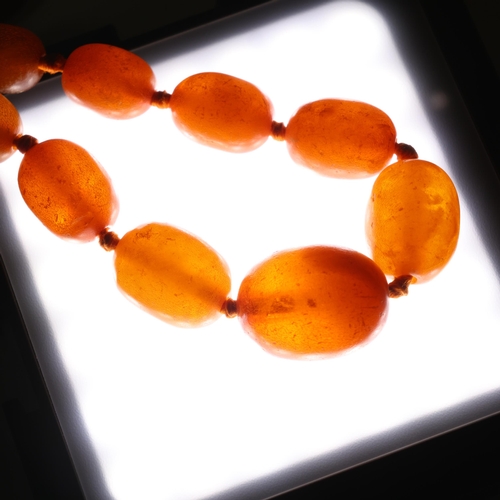 1175 - 3 amber bead necklaces, including single-strand graduated butterscotch example, beads measure: 16.3m... 