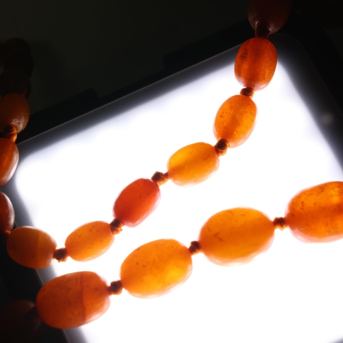 1175 - 3 amber bead necklaces, including single-strand graduated butterscotch example, beads measure: 16.3m... 