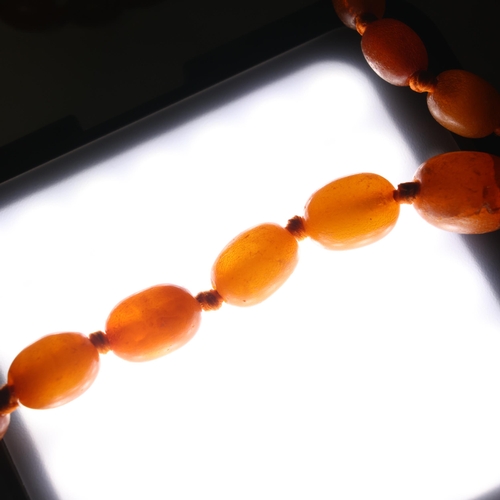 1175 - 3 amber bead necklaces, including single-strand graduated butterscotch example, beads measure: 16.3m... 