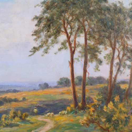 375 - Adrian Stokes, oil on canvas, panoramic countryside landscape, signed lower left, 48cm x 67cm overal... 