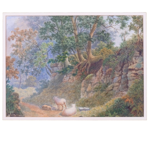 820 - Watercolour, sheep in a woodland landscape, indistinctly signed lower left, 47cm x 57cm overall, in ... 