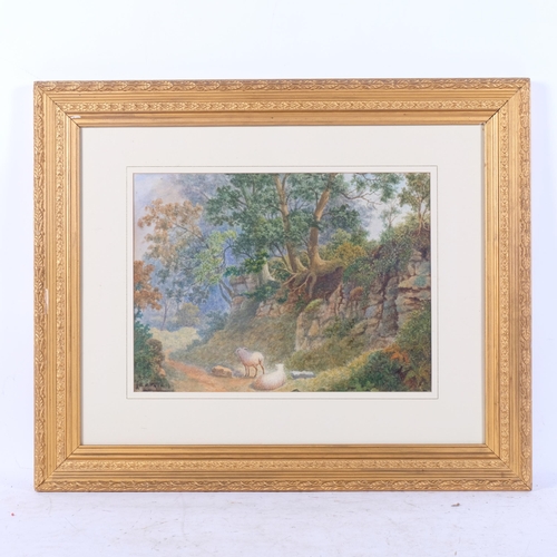 820 - Watercolour, sheep in a woodland landscape, indistinctly signed lower left, 47cm x 57cm overall, in ... 