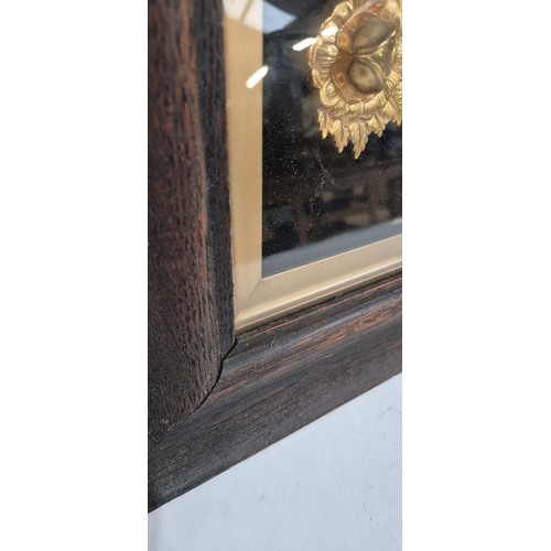 34 - A 19th century gilt-bronze relief Ducrow circus horse, with floral bosses, oak-framed and glazed, 59... 