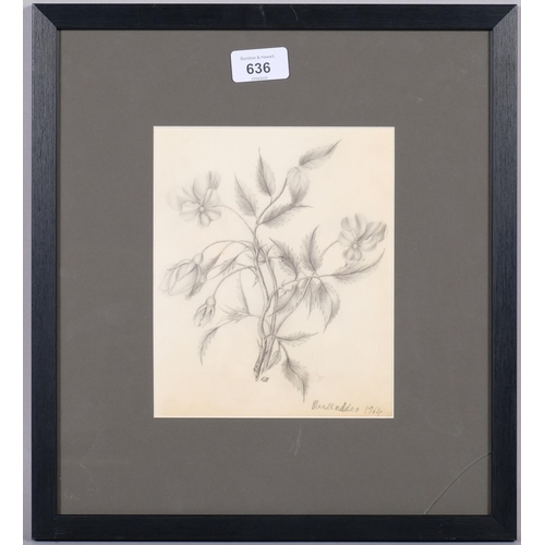 636 - Elizabeth Blackadder (1931 - 2021), wild roses, pencil drawing, signed and dated 1964, 19cm x 16cm, ... 