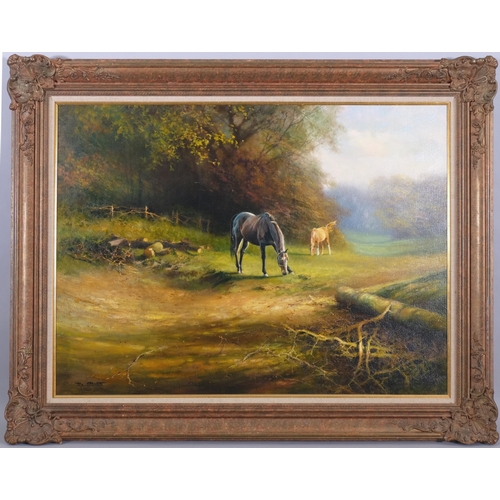 644 - Tony Sheath, horse and foal in a meadow, oil on canvas, 75cm x 100cm, framed