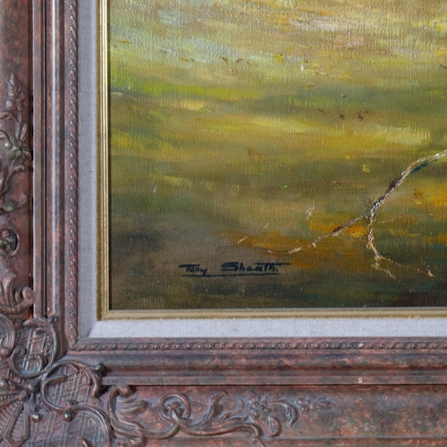 644 - Tony Sheath, horse and foal in a meadow, oil on canvas, 75cm x 100cm, framed