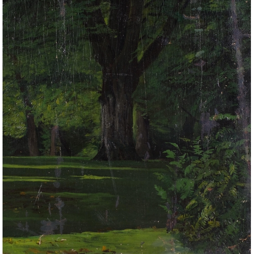 746 - James Stroudley (1906 - 1988), trees in Holland Park, oil on canvas circa 1950s, signed, 50cm x 68cm... 