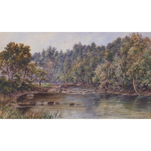 889 - Elijah Cawthorne (1843 - 1913), cattle in river landscape, 1902, watercolour, 28cm x 48cm, framed