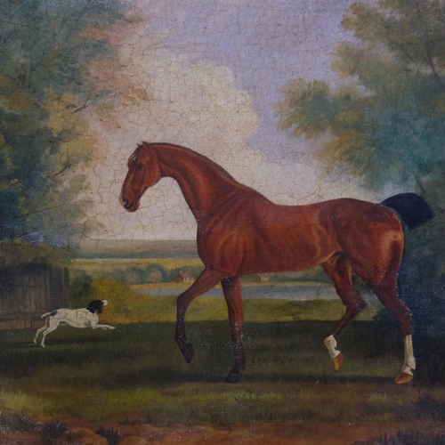 52 - A portrait of a horse and gentleman in landscape, modern oil on canvas laid on board, in ornate gilt... 